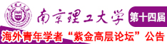 大鸡吧干美女网站南京理工大学第十四届海外青年学者紫金论坛诚邀海内外英才！